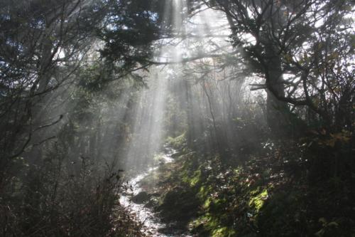 Appalachian Trail