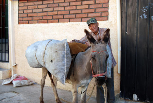 Chile Caballo