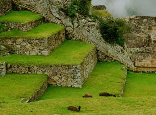 Peru - Machu Picchu