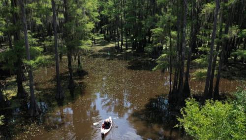 Caddo Lake, TX